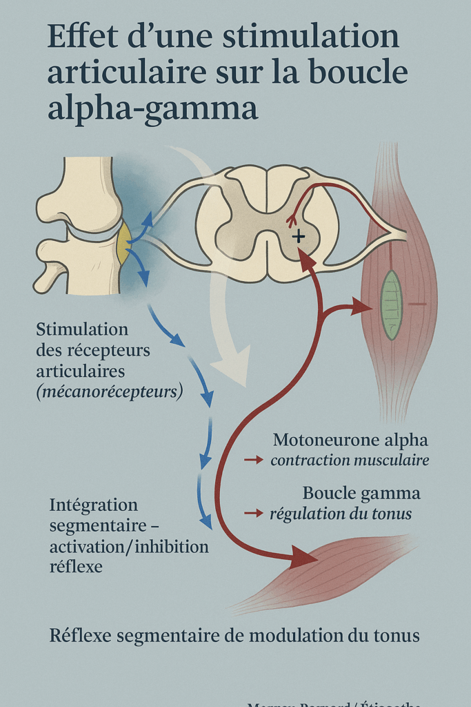 3D3565BB C71B 48A2 B361 2D23C67FB768